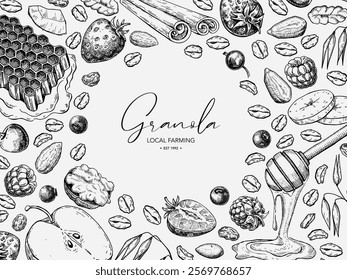 Granola, muesli or oatmeal food vector label template. Breakfast meal sketch. Cereal with fruits, nuts, berries and honey inked style drawing. Dry grain engraved illustration for packaging design