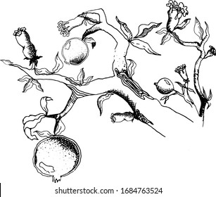 Grant tree with pomegranates and flowers. Freehand drawing vector