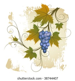 Grape