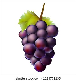 Grape 3d vector illustration Isolated . Realistic icon fruit. Fresh natural food. Winery raw.