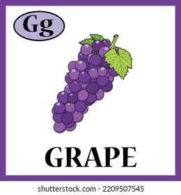 Grape Alphabet Cute Flash Card Letter Stock Vector (Royalty Free ...