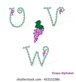 Grape alphabet. Letters U, V, W.