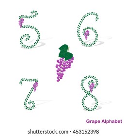 Grape alphabet. Numbers 5, 6, 7, 8.