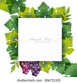 grape background