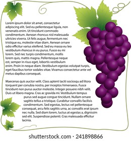 grape background decorative grapes border 