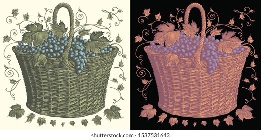 Grape basket. Design set. Hand drawn engraving. Editable vector vintage illustration. Isolated on light and dark backgrounds. 8 EPS 