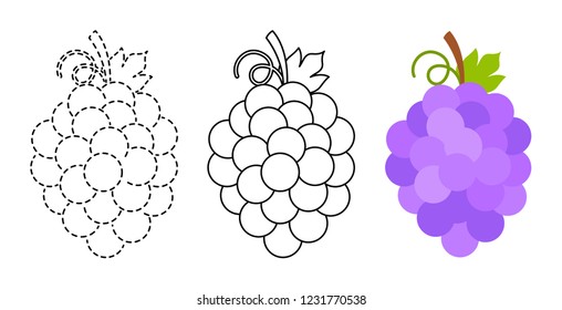 Grape to be colored and trace line educational game for kids