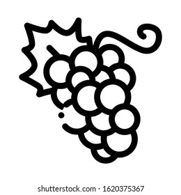 Grape Berries Icon Vector. Outline Grape Berries Sign. Isolated Contour Symbol Illustration