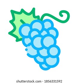 Grape Berries Icon Vector. Outline Grape Berries Sign. Isolated Contour Symbol Illustration