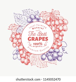 Grape berry design template. Hand drawn vector fruit illustration. Engraved style vintage botanical background.