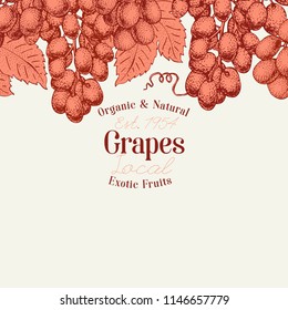 Grape berry design template. Hand drawn vector fruit illustration. Engraved style vintage botanical background.