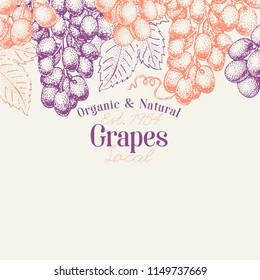 Grape berry design template. Hand drawn vector fruit illustration. Engraved style vintage botanical background.