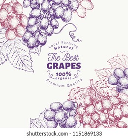 Grape berry design template. Hand drawn vector fruit illustration. Engraved style retro botanical background.
