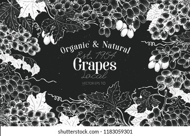 Grape berry frame template. Hand drawn vector fruit illustration on chalk board. Engraved style vintage botanical background.