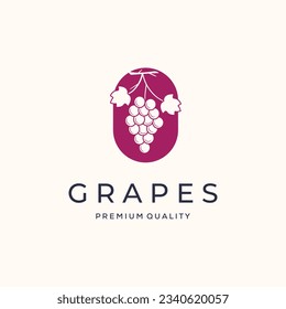 grape berry fresh vintage logo vector minimalist illustration design, grape parcel fruit symbol design