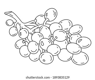 Grape Black White Graphic Vector Set Stock Vector (Royalty Free ...