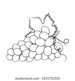 Grape, Black and White stylized, Vector Illustration	