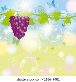 Grape with blur autumn background and bubbles