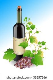 grape and bottle of wine, vector