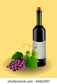 grape and bottle of wine, vector