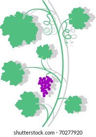 Grape Branch