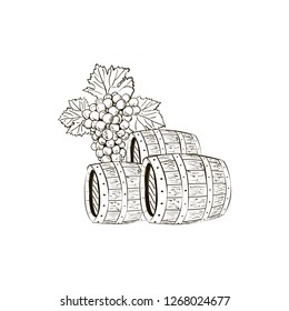 Grape branch and barrels sketch with leaves on white background