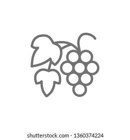 Grape branch with berries line icon.