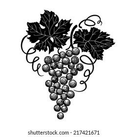 Grape branch engraved. Berry and leaves Vineyard floral sign