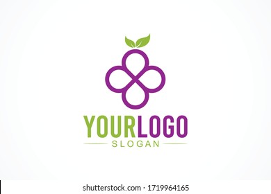 Grape Branch Fresh Fruit Vector Icon Logo