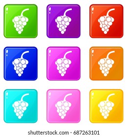Grape branch icons of 9 color set isolated vector illustration