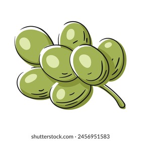 Grape branch isolated on white background. Green grape icon in cartoon style. Vector illustration
