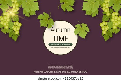 Grape branch with leaves and ripe berries vector illustration. Design for banner, flyer, booklet, promo poster, discount card