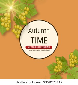 Grape branch with leaves and ripe berries vector illustration. Design for banner, square flyer, promo poster, discount card