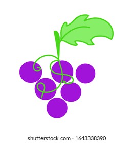 Grape branch on white background vector illustration isolated