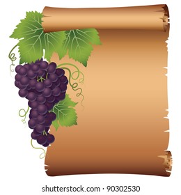 Grape branch with parchment