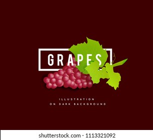 Grape branch with red grapes. Realistic vector illustartion