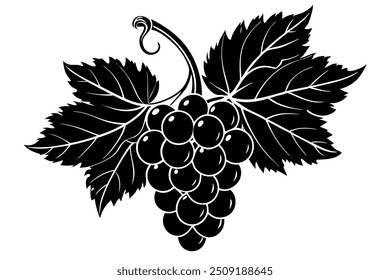 Ilustración vectorial de silueta de rama de uva