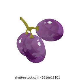 Grape branch.For sticker and t shirt design, posters, logos, labels, banners, stickers,bottle product package, cuisine cooking or salad, etc.