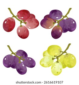 Grape branch.For sticker and t shirt design, posters, logos, labels, banners, stickers,bottle product package, cuisine cooking or salad, etc.
