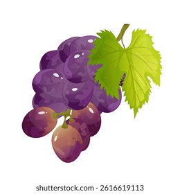 Grape branch.For sticker and t shirt design, posters, logos, labels, banners, stickers,bottle product package, cuisine cooking or salad, etc.