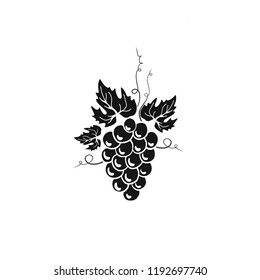 Grape branch. Vector fruit black and white illustration.