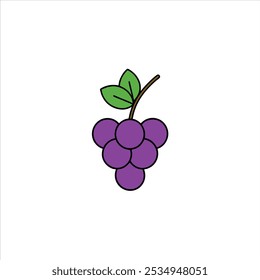 grape branch vector illustration on white background