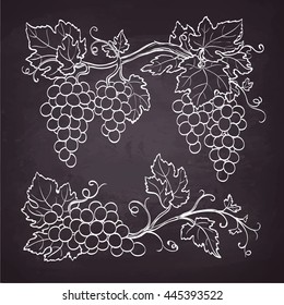 Grape branches. Sketch with chalk on blackboard background. Hand drawn vector illustration. Retro style.