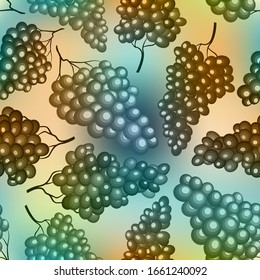 Grape branches vector seamless pattern. Wine fruit, grape vine stylized textile print design. Fresh juicy vegetarian organic food. Summer fruit pattern.