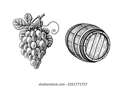 Grape branches and wine barrel hand drawn retro. Isolated on white background. vector illustration