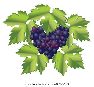 Grape brush/Grape brush in the form of heart
