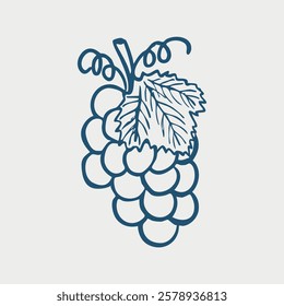 grape bunch doodle isolated on white background. Fruit icon