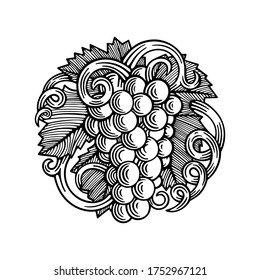 Grape bunch engraving style ornament. Grape and vine hand drawn vector illustration. Part of set.