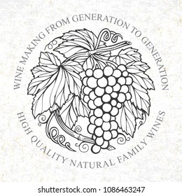 Grape bunch hand drawn sketch.
Grape and vine vintage style vector illustration.
Wine theme design template.
