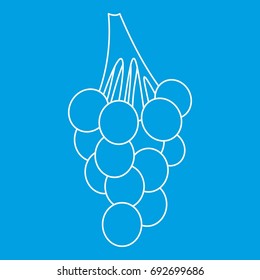 Grape bunch icon blue outline style isolated vector illustration. Thin line sign